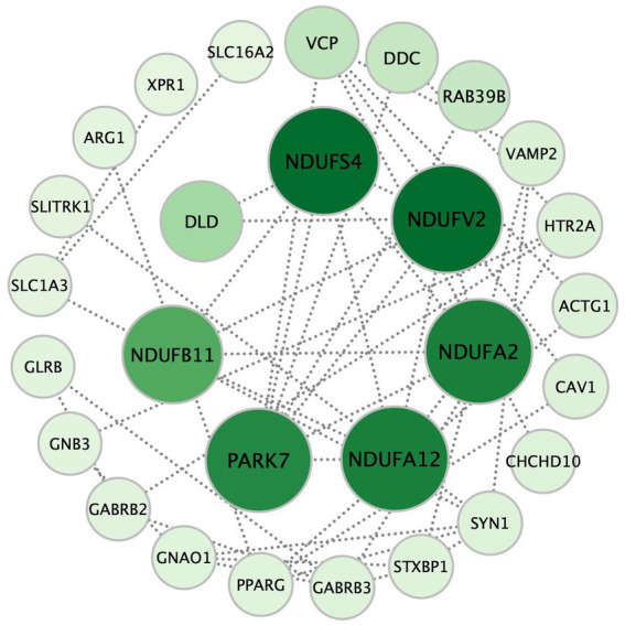 The seven hub genes of the retrograde eCB signaling pathway in patients with MDD based on the PPI analysis. Each circle represents a gene variation, and the sizes and color densities of each circle reflect ranking based on eigenvector centrality (EC). Larger, darker circles indicate the genes that are more significantly enriched in this pathway. The top seven most important genes are in the inner circle, while the others are arranged in the outer circle. eCB: endocannabinoid; PPI: protein–protein interaction.