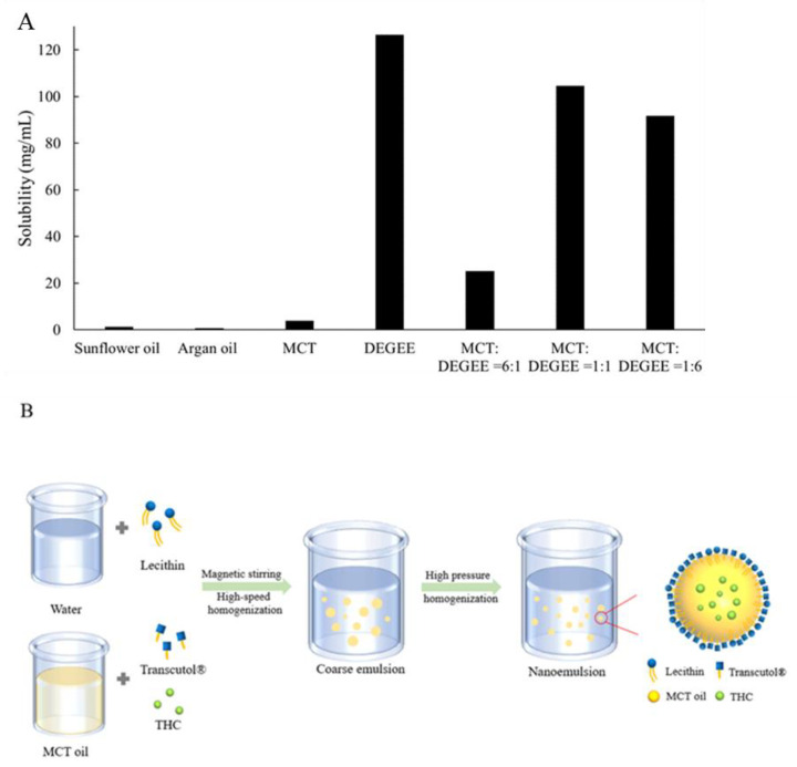 THC’s solubility in medium chain triglyceride (MCT), sunflower oil, argan oil, diethylene glycol monomethyl ether (DEGEE), or combination of MCT and DEGEE at various volumetric ratios (1:1, 1:6, 6:1) (A). Schematic illustration for preparing the lecithin based nanoemulsion (B).