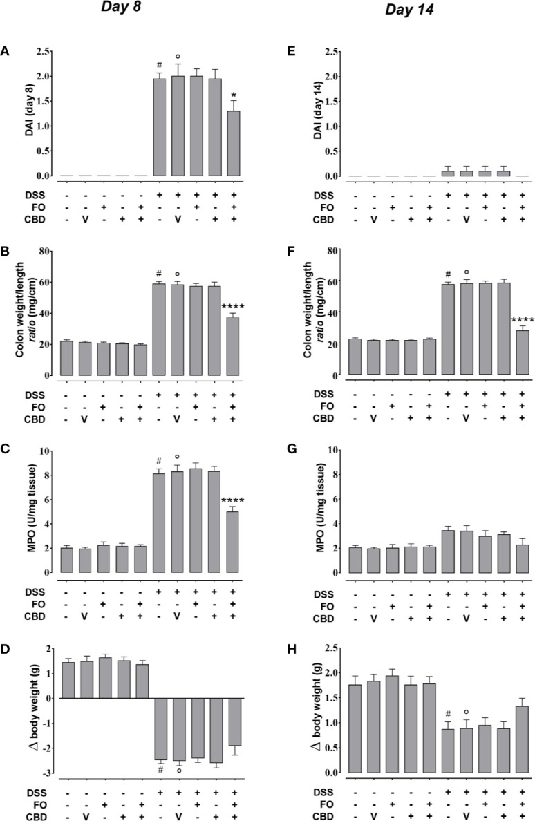 Effect of fish oil (20 mg/mouse) and CBD (1 mg/kg), both alone and in combination, on intestinal inflammation at its peak (day 8) and during remission (day 14) in DSS-treated mice (Experiment 3). Effect of sesame oil (V, 90 µl/mouse, by oral gavage, used as CBD vehicle), fish oil (FO, 20 mg/mouse, by oral gavage), CBD (1 mg/kg, by oral gavage) and FO + CBD on disease activity index (DAI) score (A, E), weight/colon length ratio (B,F), MPO activity (C,G) and body weight (D,H) in control mice (without DSS treatment) and in animals with colitis (induced by DSS) at day 8 (A–D) or day 14 (E–H) from the first injection of DSS. Bars are mean ± SEM of 10 animals (A, B, D–F, H) or five tissues (C, G) for each experimental group. Data in (A) [F(9,90) = 54.88; p < 0.0001], (B) [F(9,90) = 121.3; p < 0.0001], (C) [F(9,40) = 84.75; p < 0.0001], (D) [F(9,90)=98.41; p < 0.0001], (E) [F(9,90) = 0.653; p = 0.7485], (F) [F(9,90) = 109.9; p < 0.0001], (G) [F(9,40) = 3.277; p = 0.0045], and (H) [F(9,90) = 8.823; p < 0.0001] were statistically analyzed using one-way ANOVA followed by the Tukey-Kramer multiple comparisons test #p < 0.0001 (A–D, F) or p < 0.01 (H) vs. control; °p < 0.0001 (A–D, F) or p < 0.01 (H) vs. vehicle; *p < 0.05 and ****p < 0.0001 vs. DSS + vehicle and DSS + FO and DSS + CBD.