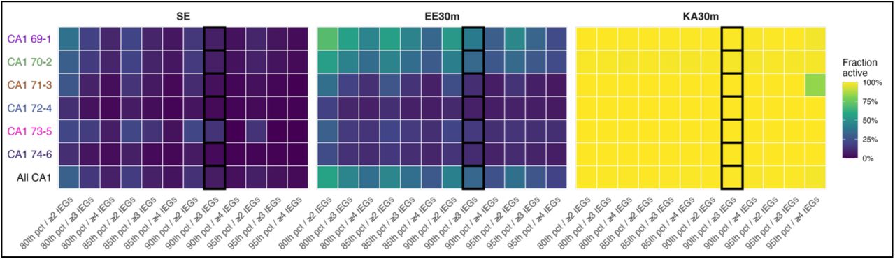 Robustness of active cell detection within CA1.The fraction of active CA1 cells when manipulating the number of genes or expression- percentile threshold required to classify a cell as active. Results are shown for each CA1 Supertype and total population. The black outlines denotes thresholds used in Figure 4B.