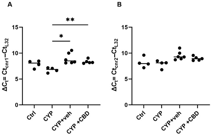 The mRNA expression of CB1 receptor (A) and CB2 receptor (B) in mouse urinary bladders of each group (Ctrl: n = 4 per group, CYP: n = 4 per group, CYP + veh: n = 6 per group, and CYP + CBD: n = 5 per group) analysed by qPCR and normalised to the expression of L32 using the comparative method; * p < 0.05; ** p < 0.01.
