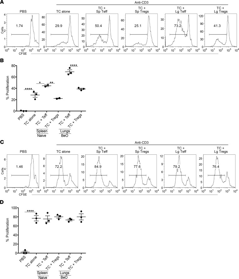 Beryllium-experienced Tregs suppress in vitro proliferation of anti-CD3 activated CD4+ T cells in a contact-dependent fashion.(A and B) Representative histograms and cumulative frequency data show proliferation of CFSE-labeled naive CD4+ T cells (TC) stimulated with anti-CD3 (2 μg/mL) and cultured in vitro in a 1:1 ratio with lung-resident (Lg-resident) effector (CD44+CD25–) or regulatory (CD25+FoxP3+) CD4+ T cells obtained at day 21 from BeO-sensitized/boosted HLA-DP2 Tg mice. Peripheral T effectors (CD44+CD25–) and Tregs (CD25+FoxP3+) sorted from the spleen (Sp) of naive mice were used as control cells. (C and D) Transwell assay was performed using CFSE-labeled T cells added to the bottom of 96-well transwell plates coated with anti-CD3 mAb (2 μg/mL). CD25+FoxP3+ Tregs and CD44+CD25– cells sorted from the lungs of BeO-exposed HLA-DP2 Tg mice and peripheral T effectors (CD44+CD25–) and Tregs (CD25+FoxP3+) sorted from naive HLA-DP2 Tg mouse spleen were added at the top of the transwell. Representative histograms (C) and cumulative frequency data (D) shows T cell proliferation (loss of CFSE) at day 5. Data (mean ± SEM) are representative of 3 individual experiments. Significance was determined by 1-way ANOVA. *P < 0.05, **P < 0.01, ****P < 0.0001.