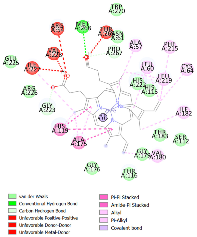 The inhibitor (native ligand) is bound to the binding pocket of NOX2 and amino acid interactions.