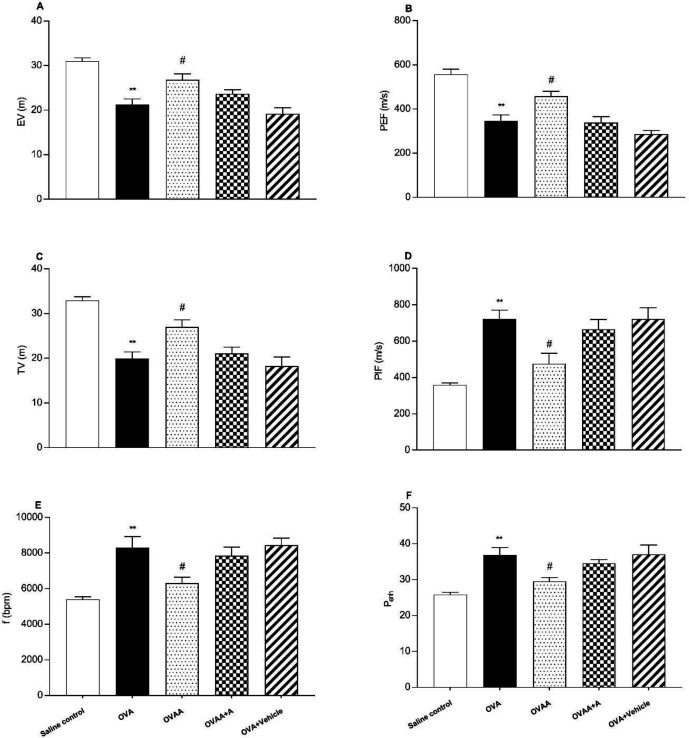 Effect of CB2 agonist on OVA-induced asthma in expiratory volume (A), Peak expiratory flow (B), tidal volume (C), Peak inspiratory flow (D), the frequency of breathing (E) and enhanced pause (F). Data are expressed as mean ± S.E.M. (n = 6) and one-way ANOVA followed by Tukey’s multiple range test. **p < 0.001 as compared to saline control group, #p < 0.05 as compared to OVA group