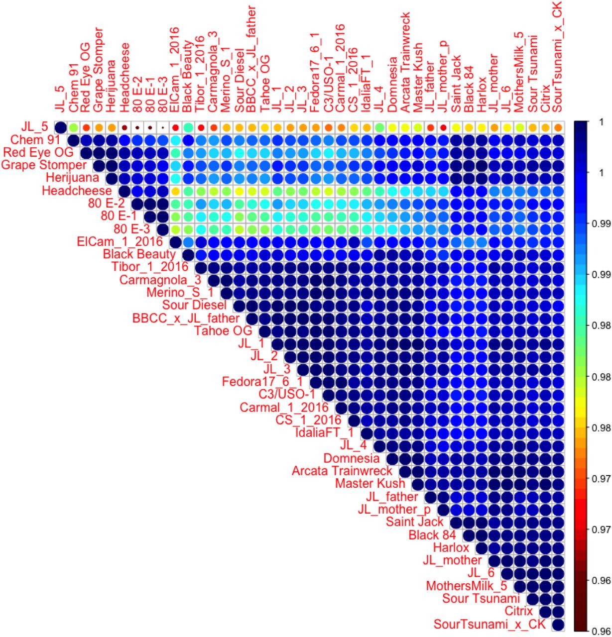 Coverage correlation matrix across 27,664 genes. Samples with lower coverage correlation (80e and JL5) have extreme phenotypes.