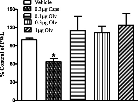 Effects of intraplantar injection of capsaicin (0.3 μg), olvanil (0.1, 0.3 and 1 μg), or vehicle on paw withdrawal latency. Data are expressed as mean ± SEM of % PWL and analyzed using one way ANOVA test followed by Dunnett’s post-hoc, all treatments were compared to vehicle at 10 min after injection (*P < 0.05, n = 7 rats per group)