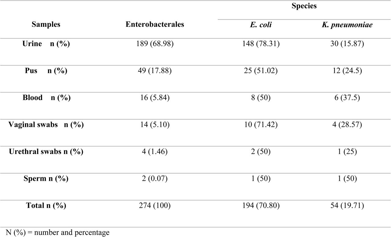 Distribution of isolated Enterobacterales species by sample type