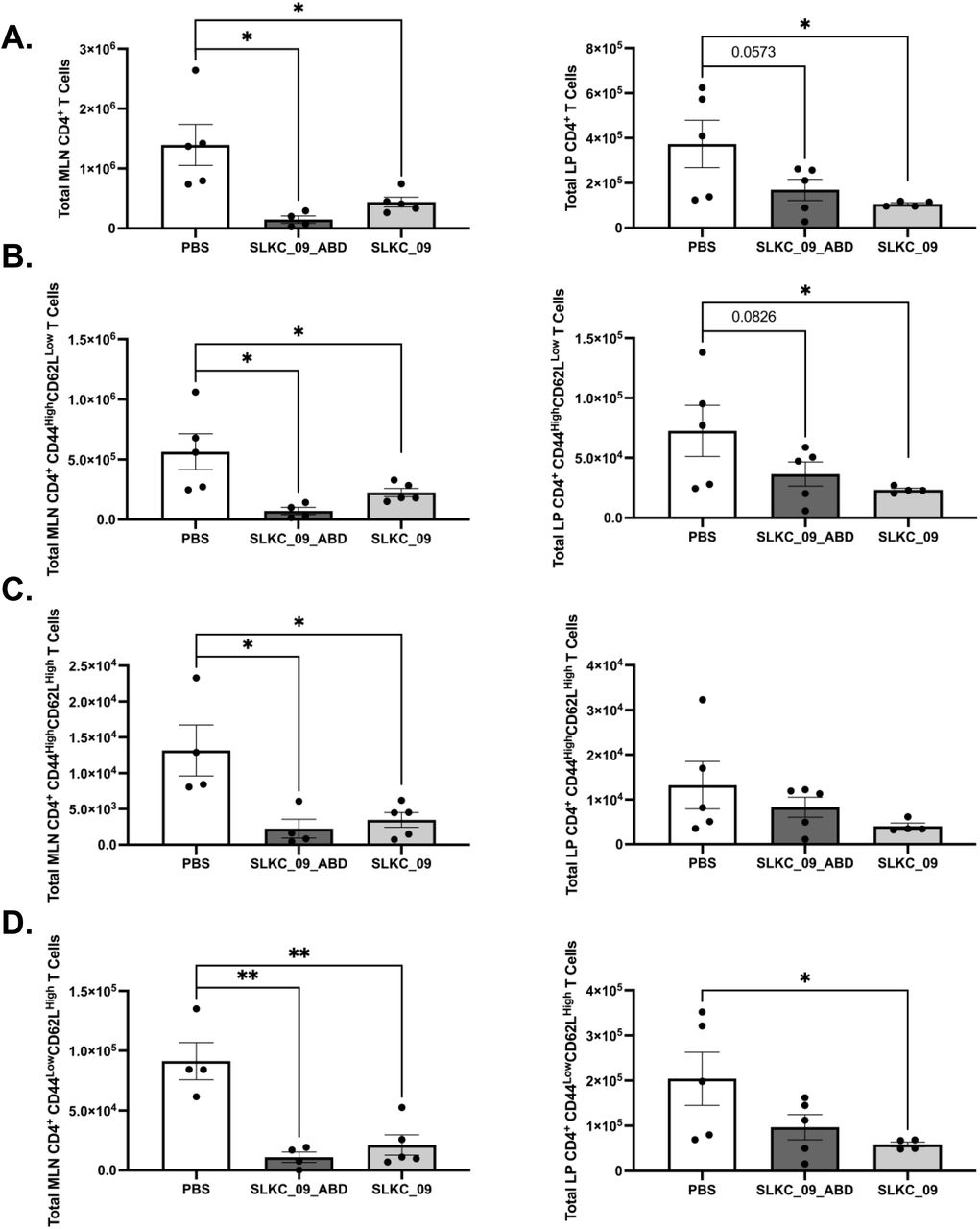 SLKC_09 and SLKC_09_ABD reduce CD4⁺ T cell accumulation across phenotypically distinct subpopulations in the mesenteric lymph node and intestinal lamina propria.Total CD4⁺ T cell numbers were quantified by flow cytometry across four phenotypically defined subpopulations in the mesenteric lymph node (MLN) and intestinal lamina propria (LP) following treatment of TNFΔARE mice with SLKC_09_ABD or SLKC_09 relative to PBS vehicle control. (A) Total CD4⁺ T cells in the MLN and LP. (B) Effector CD4⁺CD44HighCD62LLow T cells in the MLN and LP. (C) Central memory CD4⁺CD44HighCD62LHigh T cells in the MLN and LP. (D) Naïve CD4⁺CD44LowCD62LHigh T cells in the LP and MLN. Bars represent mean ± SEM of n = 5 animals per group. Statistical comparisons were made relative to PBS control. * p < 0.05; ** p < 0.01; p values shown where differences trended toward significance.