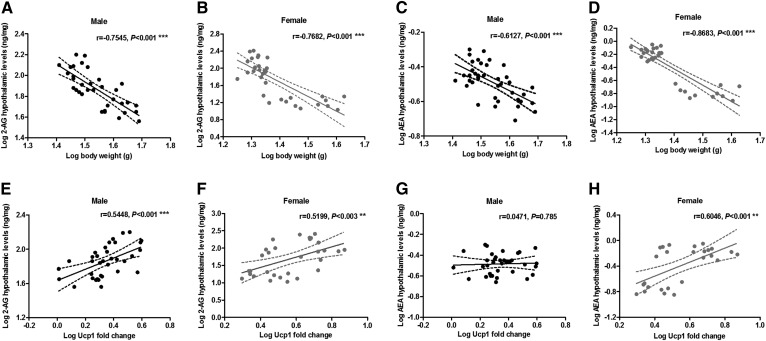 Correlation between hypothalamic eCBs and body weight or UCP1 mRNA expression in BAT. Hypothalamic 2-AG levels negatively correlate with body weight at time of euthanization in both male (A) and female (B) mice. Hypothalamic AEA levels negatively correlate with body weight at time of euthanization in both male (C) and female (D) mice. Hypothalamic 2-AG levels positively correlate with UCP1 mRNA expression in BAT of male (E) and female (F) mice. Hypothalamic AEA levels do not correlate with UCP1 mRNA expression in BAT of male mice (G), but they positively correlate in BAT of female mice (H). Statistical significance and correlation was determined by Pearson correlation coefficients (xy values = 30–40). **P < 0.01; ***P < 0.001.