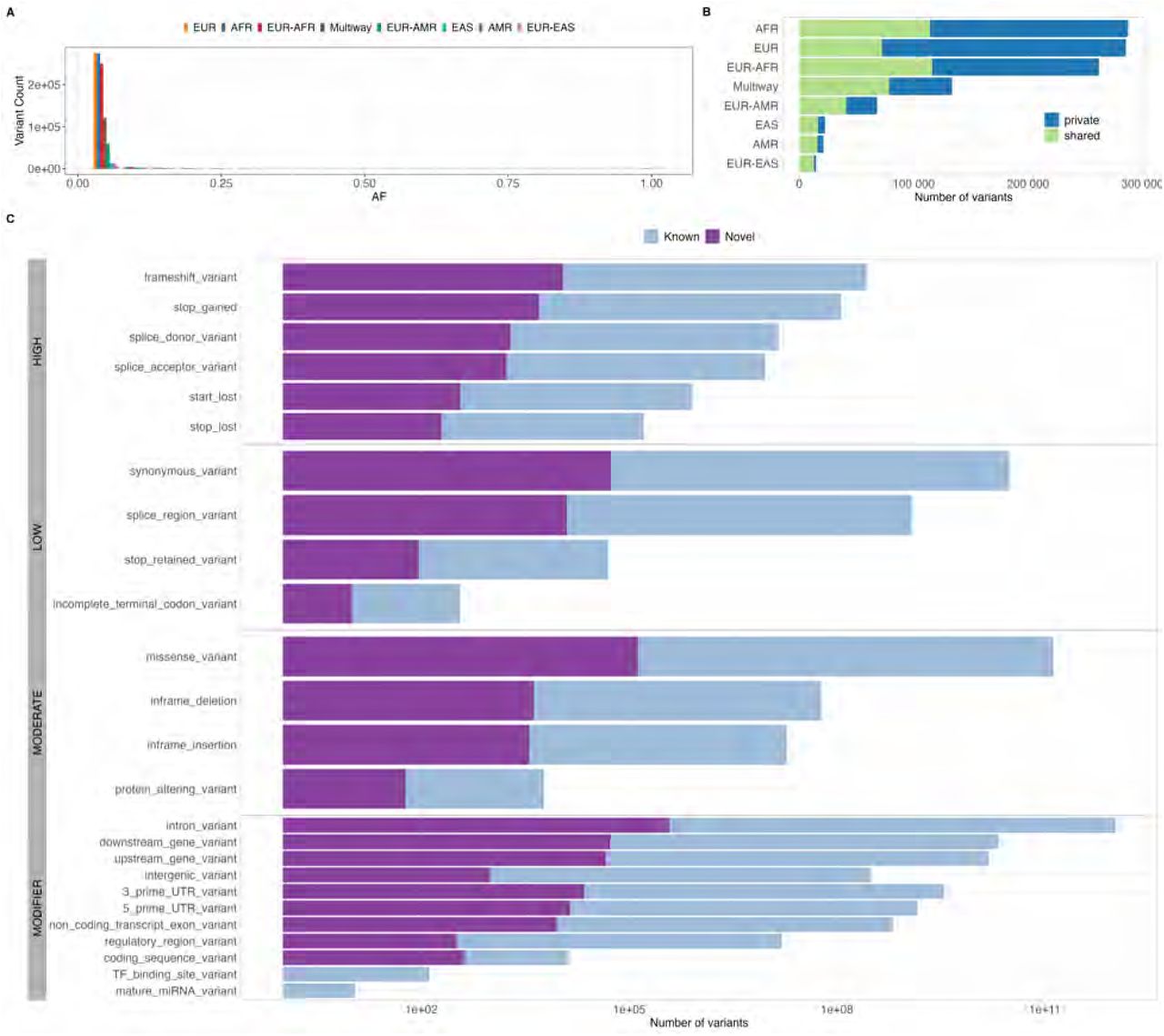 Features of novel variants.(A) Allele frequency spectrum showing the prevalence of rare variants. (B) Counts of variants by ancestry stratified by private and shared with another one or more ancestries. (C) Counts of variants (log scale) by annotated consequences for novel and known variants.