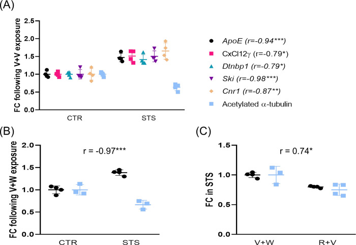 Correlation analysis between acetylated α-tubulin at K40 and gene expression in the prefrontal cortex.We reported an inverse association between acetylated α-tubulin levels and either ApoE, CxCl12ɣ, Dtnbp1, Ski, or Cnr1 when compared controls and defeat mice subjected to V+V (panel A); and also did the expression of ApoE upon V+W treatment when comparing the control and the stress group (panel B). A positive correlation between acetylated α-tubulin and ApoE was reported between V+W and R+V under stress conditions (panel C). CTR, control; STS, stress; V, vehicle; W, WIN55,212–2; R, rimonabant. One, two or three symbols indicate P < 0.05; P < 0.01, P<0.001, respectively.
