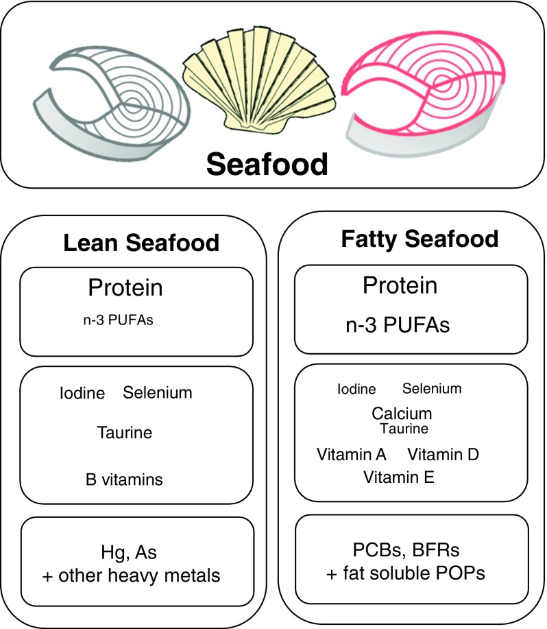 Content of nutrients and undesirables typically found in different amounts in lean and fatty seafood. Larger font size indicates higher level. PCB, polychlorinated biphenyls; BFR, brominated flame retardants; POP, persistent organic pollutants.