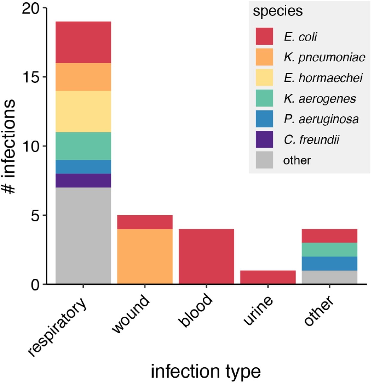 Infections caused by 3GCR-GN organisms.Bar chart shows the number of distinct respiratory, wound, blood, urine and other infections by species as indicated in the legend. Distinct infections were defined as those represented by unique combinations of species, multi-locus sequence type, patient and specimen type.