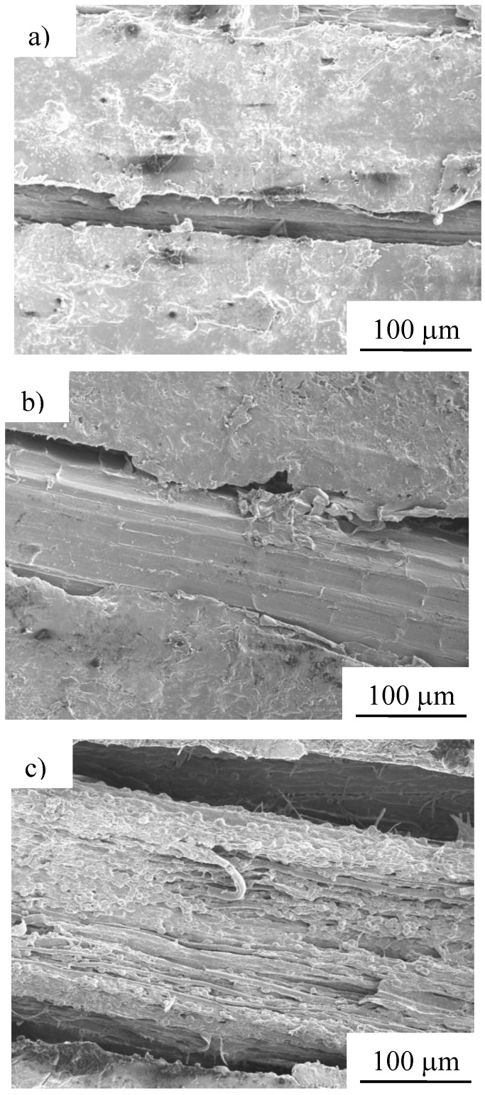SEM photomicrographs of after composting test of MHFRP specimens after: a) 5, b) 10 and c) 30 days (under Condition 3).