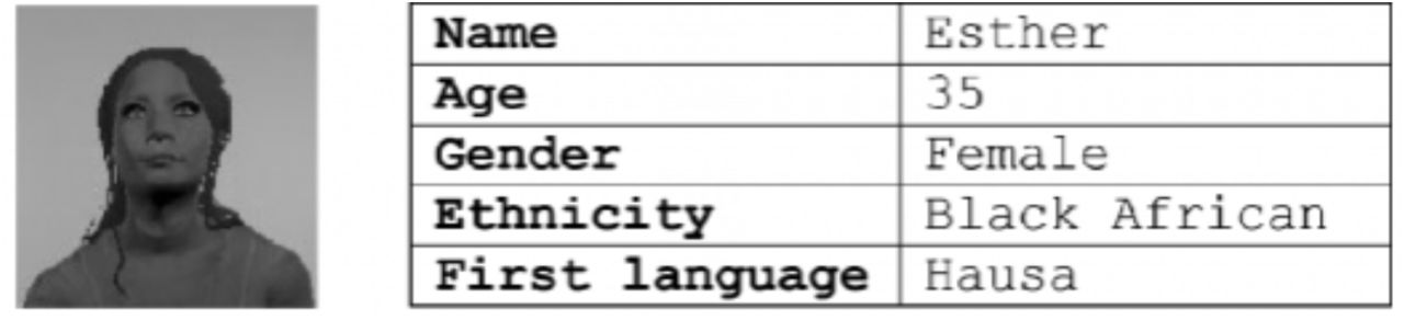 An example of a virtual patient profile (Black and white in print)