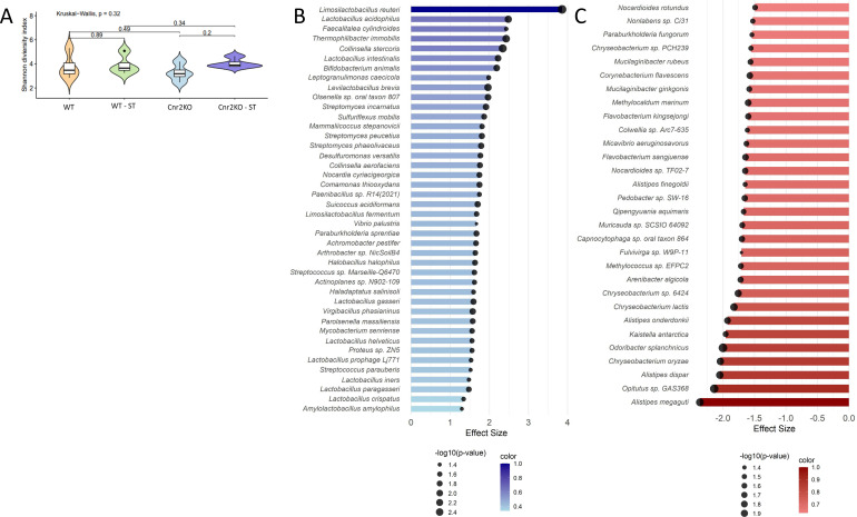 Gut microbiome analysis comparing diversity between WT and CB2RKO mice before/after Salmonella infection, with bacterial taxa abundance showing differential enrichment patterns between genotypes post-infection.