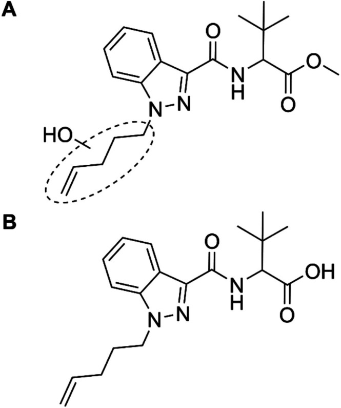 Molecular structures for a hydroxy metabolite (A) as well as a metabolite formed by ester hydrolysis (B) of MDMB‐4en‐PINACA. Both metabolites were recommended by Watanabe et al. as potential urinary markers for the intake of MDMB‐4en‐PINACA [30].