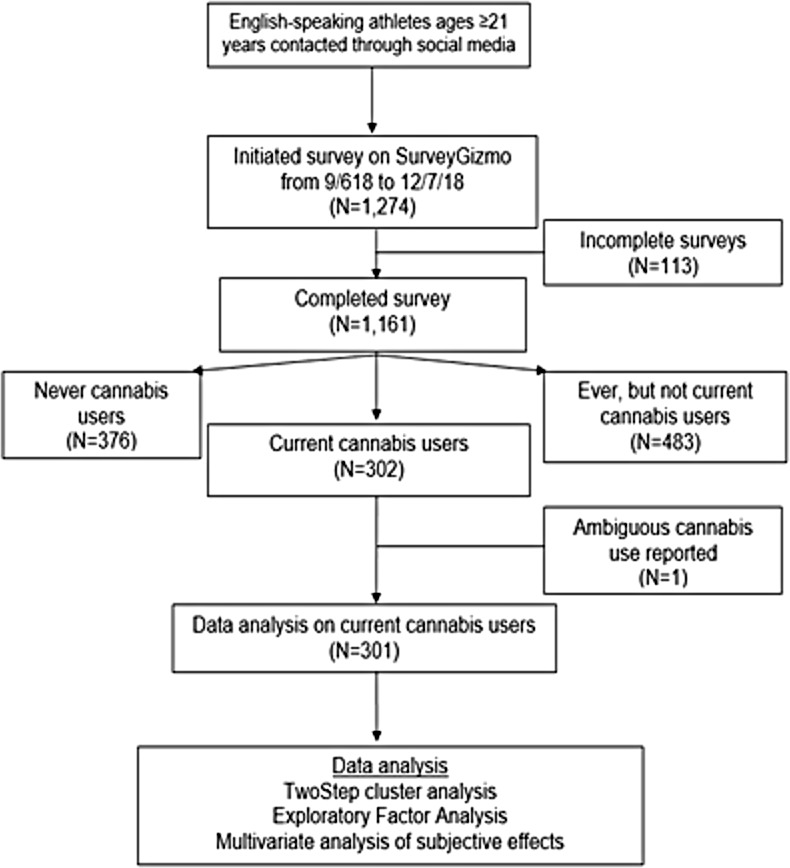 Flow diagram of The Athlete PEACE survey cohort.