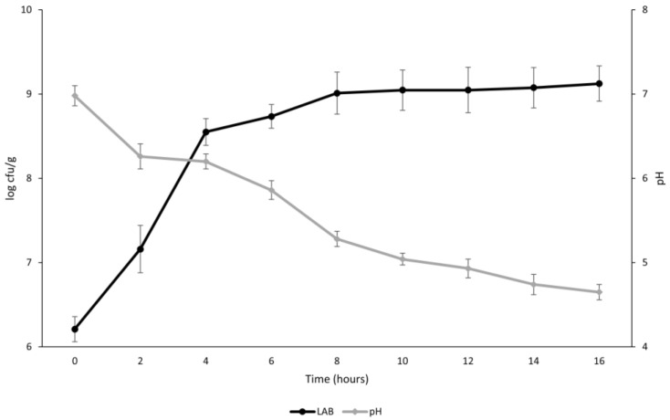 Acidification and lactic acid bacteria growth in gelatinized (80 °C for 15 min) substrates fermented by Lactiplantibacillus plantarum 18S9, Leuconostoc mesenteroides 12MM1, and Leuconostoc pseudomesenteroides DSM20193 (inoculation density of approximately 6 log cfu/g) at 25 °C for 16 h.
