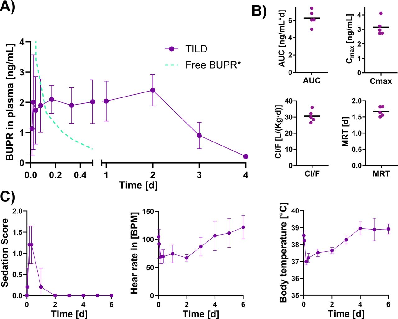 Pharmacokinetic and tolerability evaluation of TILD in beagle dogs (A) Plasma concentration-time profile of buprenorphine following subcutaneous administration of TILD compared to fast-acting buprenorphine (n=5; mean ±SD) (*data extrapolated from Nunamaker et al.[51]). (B) Pharmacokinetic parameters of TILD including AUC, Cmax, Clearance and MRT. (n=5; mean) (C) Evaluation of sedation scores and physiological parameters (vitality) following administration, indicating tolerability (See Supporting Information for details on scoring) (n=5; mean ±SD).