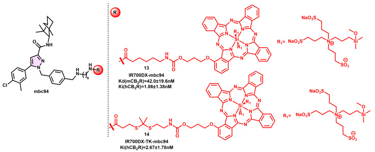 MBC94 CB2R-selective fluorescent derivatives with various NIR fluorophores.