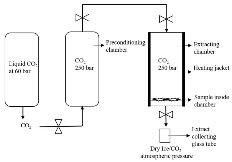 Schematic representation of the Helix unit for setup E extraction.