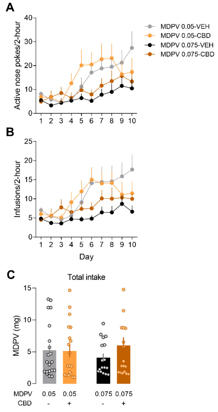 Mice modulate their drug-seeking behaviour to maintain MDPV consumption. (A) Active nose pokes and (B) infusions along the self-administration. (C) Total intake of MDPV.