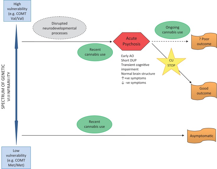 Pathway to psychosis in recent use cannabis users.