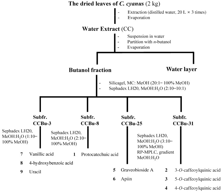 Flow chart for isolation and identification of CC-derived compounds.