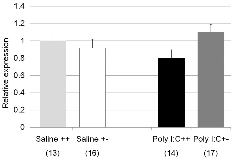 Analysis Il1b gene expressions in the hippocampus after poly I:C stress. The vertical axis shows the relative Il1b expression level after Poly I:C treatment for each genotype group (in comparison to saline treated wild type mice). Light gray bar indicates the wild type saline treated mice, white bar represents the heterozygote saline treated mice, black bar represents the wild type Poly I:C treated mice, and dark gray bar represents the heterozygote Poly I:C treated mice. The numbers of the subjects are shown in parenthesis. While two-way ANOVA indicated possible involvement of Il1b in genotype and Poly I:C treatment, post-hoc analysis with Tukey test did not show any significant differences between the groups.