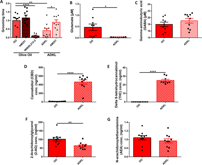 Revealing a possible mechanism for Avidekel oil in InsG3680 Shank3 mouse model of ASD.A CB1R mitigates the Avidekel-induced reduction in InsG3680 Shank3 mutant mice repetitive grooming behavior. After treatment with CB1R antagonist AM-251 in addition to Avidekel oil, InsG3680 Shank3 mutant mice have doubled the time they spent grooming, normalized to their baseline grooming level, which was determined after receiving solely Avidekel oil. Furthermore, CB1R blockade did not change the grooming behavior of the olive oil-treated InsG3680 Shank3 mutant mice. In addition, treatment with the CB1R agonist Win 55,212-2 decreased significantly grooming behavior in olive oil-treated InsG3680 Shank3 mutant mice. Data are presented as mean ± SEM. N = 20 (10 in each treatment group, Olive oil and Avidekel oil). *p < 0.05, **p < 0.01, ****p < 0.0001. Two-tailed paired t-test between groups. B, C HPLC-FD analysis of CSF neurotransmitters one hour post oral gavage. Avidekel oil treatment caused a significant decrease of over 90% in glutamate concentration in the CSF of InsG3680 Shank3 mutant mice (B). No significant difference between the olive oil and Avidekel oil treatment groups was detected when regarding GABA concentrations (C). Data are presented as mean ± SEM. N = 20 (10 in each group). *p < 0.05. Two-tailed t-test between groups. D–G Liquid chromatography-mass spectrometry (LC-MS) measurements of serum cannabinoids one hour post oral gavage treatment in InsG3680 Shank3 mutant mice. Measurement of exocannabinoids CBD (D) and THC (E) concentrations in serum indicated high concentrations of CBD and THC in the Avidekel oil treatment group. Furthermore, the results show that CBD concentration in the Avidekel oil treatment group is approximately 20 times higher than THC, in concordance with the CBD:THC ratio that was reported by the manufacturer. Measurement of serum endocannabinoids 2-AG (F) and anandamide/AEA (G) revealed a significant decrease of approximately 40% in 2-AG concentration, while there was no significant decrease in the concentration of anandamide in the serum. Data are presented as mean ± SEM. N = 20 (10 in each group). **p < 0.01, ****p < 0.0001. Two-tailed t-test between groups.