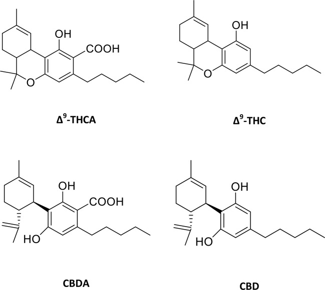 Molecular structures of major phytocannabinoids. Δ9-tetrahydrocannabinolic acid (Δ9-THCA), Δ9-tetrahydrocannabinol (Δ9-THC), cannabidiolic acid (CBDA) and cannabidiol (CBD).
