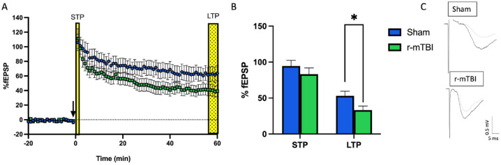 Deficits in long-term potentiation are seen in adolescent female animals following three repetitive injuries (72-hour interinjury interval) in the medial perforant pathway of the dentate gyrus. (A) Time course of synaptic plasticity experiments presented as a percentage of the baseline fEPSP. The black arrow indicates high-frequency stimulation (HFS) induction (4 × 100 Hz). Short-term plasticity is measured as the change in response size 1 minute following HFS. Long-term potentiation is measured as the change in response size 55 to 60 minutes following HFS. (B) Long-term potentiation is decreased following repetitive mild traumatic brain injury with sample traces (C) from sham and repetitive mild traumatic brain injury hippocampal slices. *P < 0.05 (Student’s t-test). Unpublished data. For more information on injury protocol, see Eyolfson and others (2021). For more information on electrophysiologic methods, see Fontaine and others (2019).