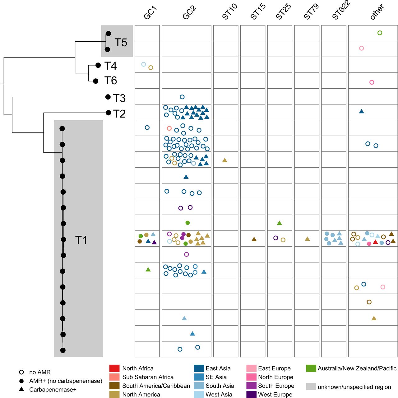 Phylogenetic relationship and distribution of antimicrobial resistance determinants in RP-type plasmids across major globally distributed sequence types and global clones. Plots show the number of plasmids linked with a particular plasmid type; each data point corresponds to a unique plasmid, grouped by chromosomal sequence type/clone, and is coloured by geographical region as shown in the Figure key. Empty circles indicate plasmids with no AMR, triangles indicate plasmids with carbapenemases and filled circles represent plasmids with AMR (no carbapenemase).
