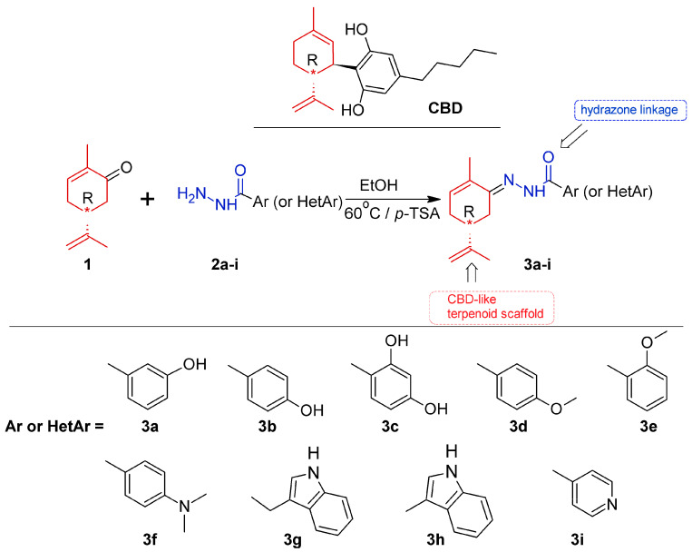 Synthetic strategy for the preparation of CBD-like carvone derivatives containing aroyl- or heteroaroyl hydrazone fragments, 3a-i. The red-highlighted region represents the CBD-like terpenoid scaffold, whereas the blue-highlighted region corresponds to the introduced aroyl- or heteroaroyl hydrazone fragment. The aroyl and heteroaroyl structural fragments are shown in black. The asterisk (*) indicates the chiral center with an R configuration.