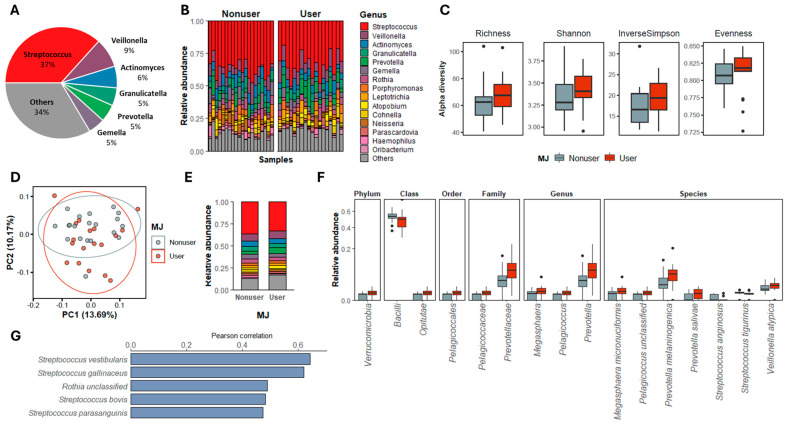 Saliva microbiome compositions at genus level and the characteristic comparisons between MJ users and nonusers. (A) Top six abundant genera identified in all the saliva samples in this study. (B) The microbial community composition in both MJ user and nonuser samples at the genus level; only the 15 most abundant genera are shown. (C) Alpha diversity indices, including species richness, Shannon index, and inverse Simpson and Pielou’s evenness in MJ user and nonuser groups. (D) Principal component analysis (PCA) plot showing the beta-diversities of MJ users and nonusers’ salivary microbial communities. (E) Average relative abundance of the 15 most abundant genera from MJ users and nonusers. (F) The taxa at all taxonomic levels that showed significantly different (p < 0.05, Kruskal–Wallis test) relative abundance between MJ users and nonusers. (G) The salivary species that showed significant correlations with MJ lifetime use (g) in the MJ user groups.