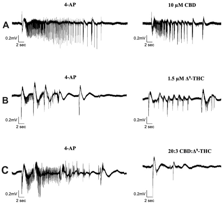 Sample traces of seizure-like events in cannabinoid combination studies. Example of electrophysiological recordings of seizure-like events before (left column) and after (right column) the addition of (A) 10 µM CBD, (B) 1.5 µM Δ9-THC, and (C) 20:3 CBD: Δ9-THC in 3 separate slice experiments.