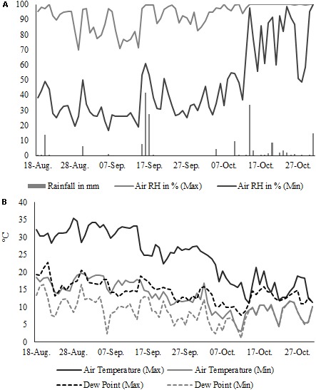 Microclimatic condition during the dew-retting period (daily minimum and maximum): (A) air temperature (°C), dew point (°C) and (B) air humidity (%) and rainfall (mm).