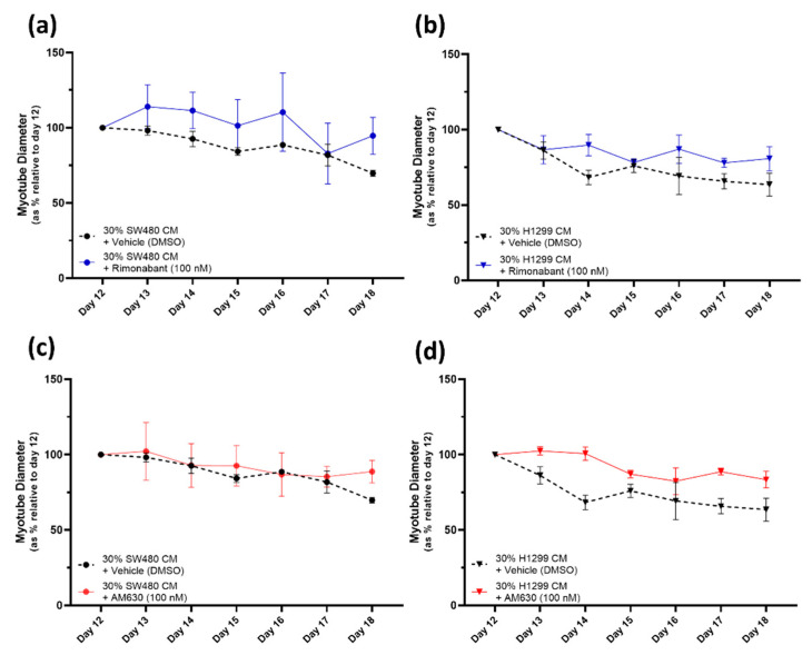 Treatment with CB1R antagonist Rimonabant or CB2R antagonist AM630 does not affect the myotube degeneration caused by SW480/H1299-CM-induced cachexia. (a–d) At day 12, cancer CM was introduced to induce cachexia; 30% SW480 CM/70% DM or 30% H1299 CM/70% DM and, simultaneously, Rimonabant [100 nM], AM630 [100 nM] or vehicle (DMSO [0.1%]) was added. Cells were monitored and myotube diameters were measured daily for 6 days. Data are presented as % relative to diameter of mature myotubes at day 12. All data are mean ± SEM of at least n = 3. Rimonabant and AM630 treatment groups were compared to their vehicle-treated counterparts. (a,b) Data demonstrate that Rimonabant [100 nM] does not protect against the myotube degeneration caused by either the 30% SW480- (a) or the 30% H1299- (b) CM-induced cachexia. Rimonabant treated groups display the same gradual decrease in myotube diameter over time as the vehicle control groups. (c,d) Data similarly demonstrate that AM630 [100 nM] does not protect against the myotube degeneration caused by either the 30% SW480- (c) or the 30% H1299- (d) CM-induced cachexia. AM630 treated groups display the same gradual decrease in myotube diameter over time as the vehicle control groups.