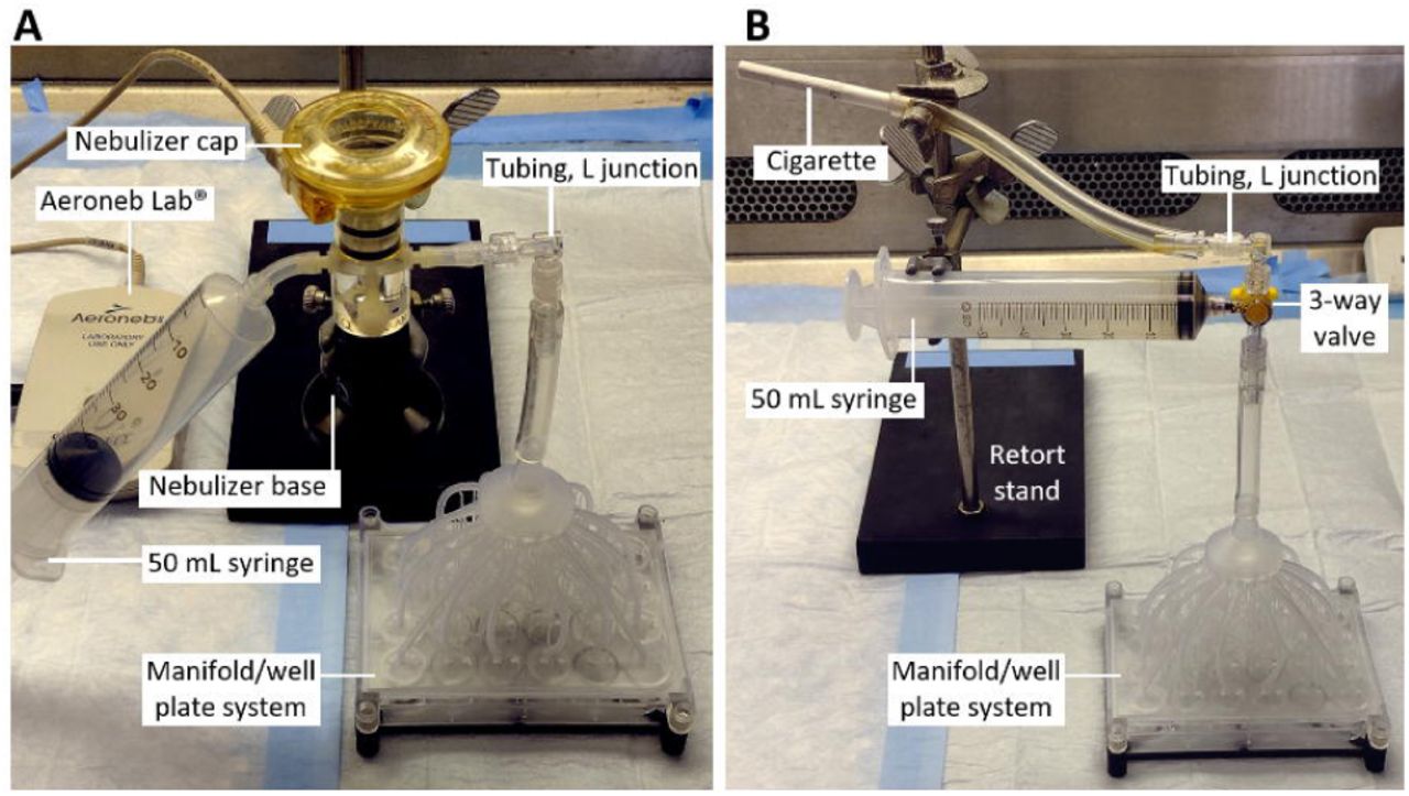 Experimental setups for A) nebulized aerosol and B) tobacco smoke perfusion into the manifolds.