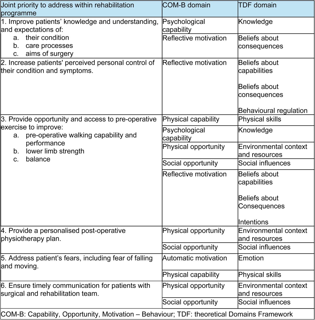 Joint priorities to address within the rehabilitation programme, mapped to the domains of COM-B and TDF