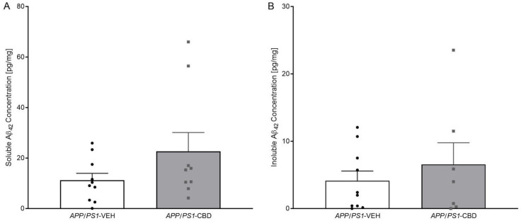 (A,B): ELISA results for Aβ42 in the hippocampal tissue of APP/PS1 mice. ELISA results for (A) soluble Aβ42 and (B) insoluble Aβ42 levels for male APPSwe/PS1∆E9 (APP/PS1) transgenic mice treated with 100 mg/kg cannabidiol (CBD) or vehicle (APP/PS1-VEH n = 10; APP/PS1-CBD n = 9). Data are presented as means ± SEM.