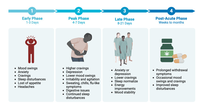 The four different phases of CWS.Original image created by the authors using data from source [68].CWS: cannabis withdrawal syndrome