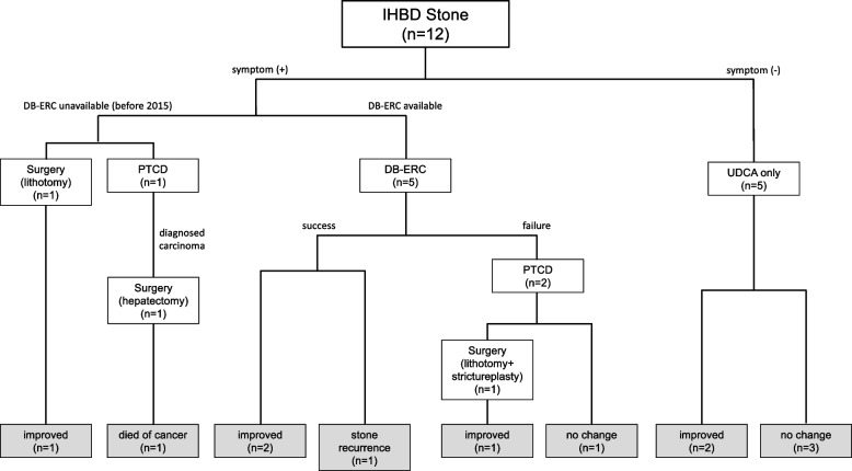 Flow chart of treatment for postoperative intrahepatic bile duct stones