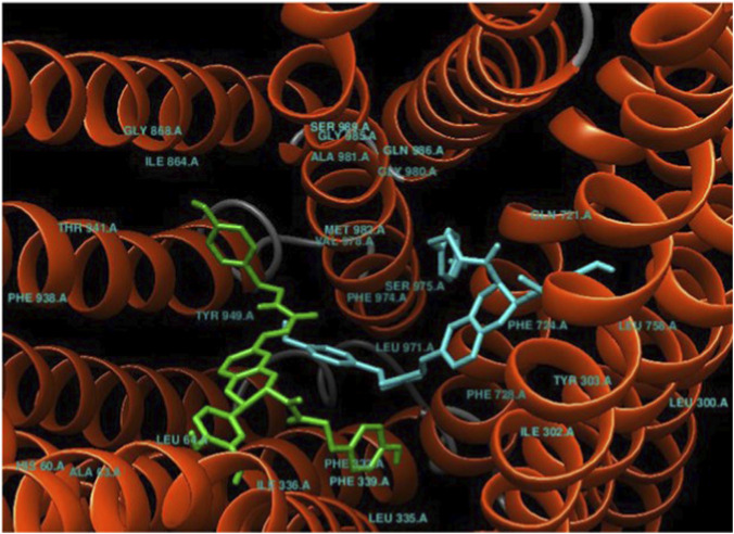 3D molecular visualization showing protein alpha helices as orange spirals with selected amino acid residues labeled in blue text. Highlighted molecular structures in green and blue stick representation indicate specific ligand or binding interactions within the protein structure.