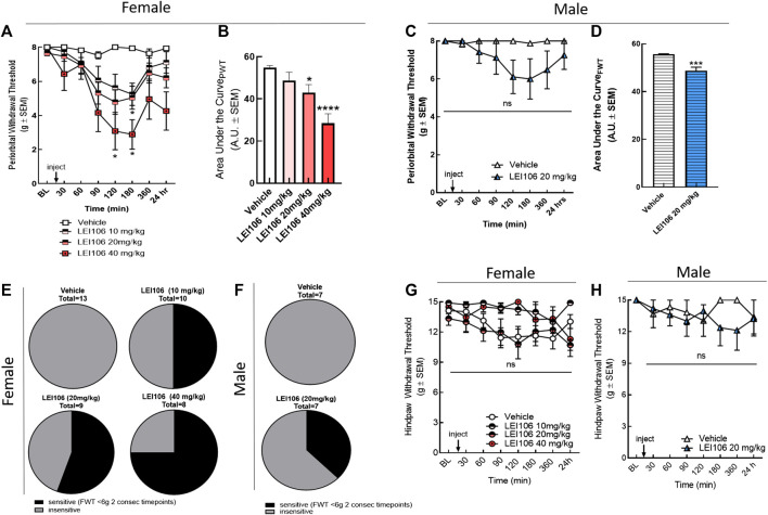 DAGLα inhibition with LEI106 induced significant periorbital but not hind-paw allodynia. Intraperitoneal injection of LEI106 at 10, 20, and 40 mg/kg induced facial allodynia in female animals (A). LEI106 at 20 and 40 mg/kg doses caused significant reduction in facial withdrawal thresholds at 120 and 180 min post-injection compared to vehicle control. Data are expressed mean ± SEM (n = 8–13), two-way ANOVA, *p < 0.05, ***p < 0.001, ****p < 0.0001. In male animals, intraperitoneal injection of LEI106 at 10 mg/kg did not cause significant changes in facial withdrawal thresholds in any time-point (C). Data are expressed mean ± SEM (n = 7), two-way ANOVA, ns, non-significant. The area under the curve for the corresponding time-course experiments (B,D), assessed by one-way ANOVA (female) or Student’s t-test (male), **p < 0.01, ***p < 0.001, ****p < 0.0001. The percentage of animals in vehicle-, and in LEI106-treated groups, showing facial sensitivity (E,F), as defined FWT < 6 g at two consecutive time-points in facial area. LEI106 did not significantly influence the hind-paw withdrawal thresholds in either doses in either sexes (G,H), suggesting the absence of peripheral action.
