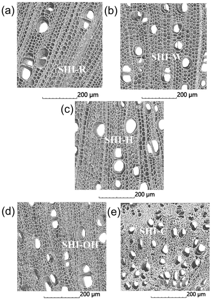 X-ray computed nanotomography images of untreated SHI-R (a) and treated SHI-W, SHI-H, SHI-OH and SHI-C (b–e) hemp shive samples.