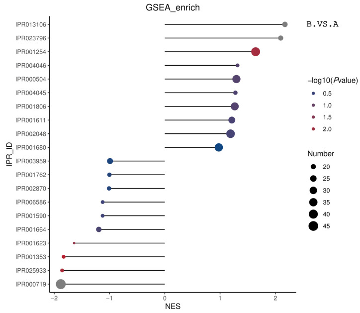 Matchstick diagram of the overall enrichment results of the GSEA-structural domain ES. The horizontal coordinate in the graph is the NES value. The larger the |NES| value, the higher the degree of differential protein enrichment in the entry. The color of the points represents −log10 (p value). p value refers to the nominal p value in GSEA. The redder the color, the larger the −log10 (p value), while the smaller the p value, the larger the reliability of the test and the more statistically significant the test is. The gray color represents the structural domains with a p value of 0. The size of the points represents the number of differential proteins in the corresponding entry. The larger the point, the higher the enrichment of differential proteins in that structural domain. The size of the dot represents the number of differential proteins in the corresponding entry. The larger the dot, the higher the number of differential proteins in the structural domain.