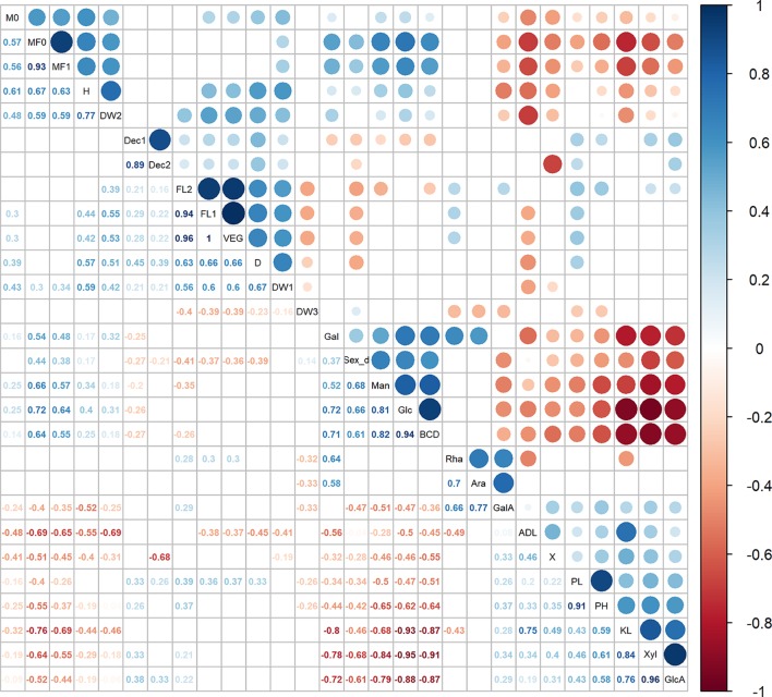 Correlation analysis between 28 agronomic measurements, flowering stages, fiber traits, and cell wall components. Significant correlations were set at a confidence level of 0.95, and blank cells represent no significant correlations. Rha, Rha%dm; Ara, Ara%dm; Gal, Gal%dm; GalA, GalA%dm; Glc, Glc%dm; Man, Man%dm; Xyl, Xyl%dm; GlcA, GlcA%dm; KL, KL%dm; ADL, ADL%dm; FL1, FL_Begin; FL2, FL_Full; Sex_d, Sex determination; DW1, DW_S5(g); DW2, DW_S(%); DW3, DW(%); BCD, BCD%; X, (χ); Dec1, ηDec_1; Dec2, ηDec_2. See Table 3 for abbreviations.