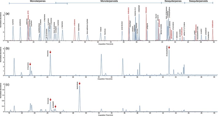 Total ion chromatograms (TIC) of standard solutions and cannabis flower samples. An overlay of different calibration mixtures of calibrator 9 illustrates the whole analyte panel including the RT index mixture as ISTD (a). Differences in the terpene profile are exemplarily depicted by two cannabis samples, strain ‘Master Kush’ (b) and strain ‘Ghost Train Haze’ (c). The three dominant terpenes in the samples according to manufacturer are highlighted.